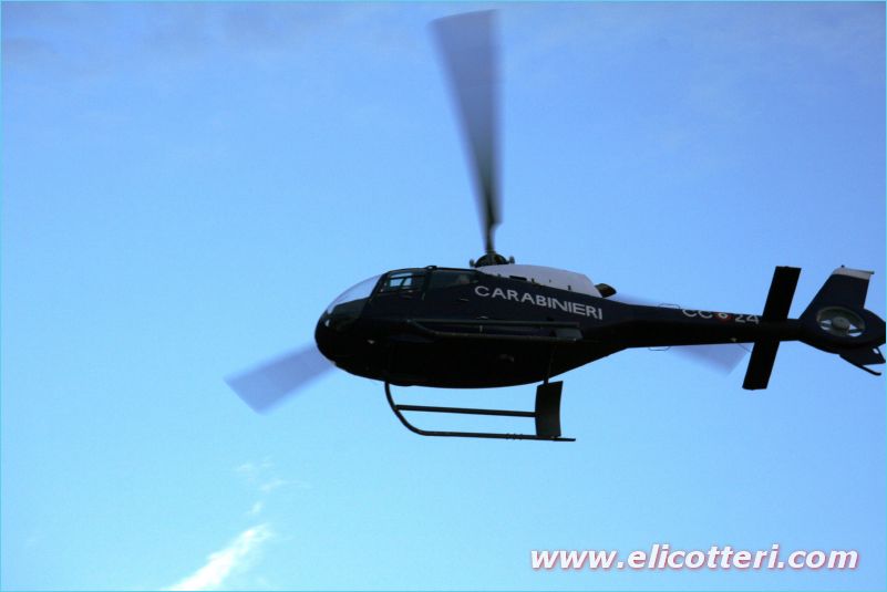 elifoto (169)
